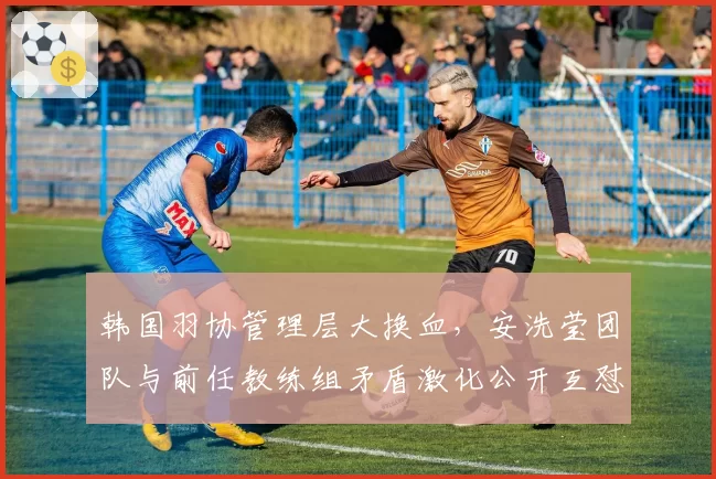 韩国羽协管理层大换血,安洗莹团队与前任教练组矛盾激化公开互怼