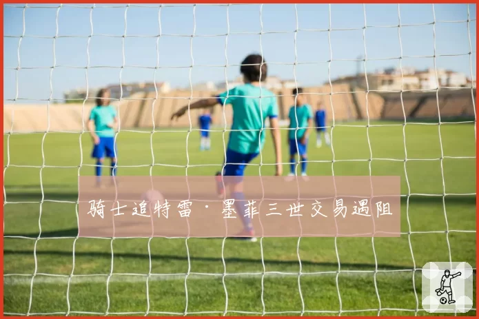 骑士追特雷·墨菲三世交易遇阻